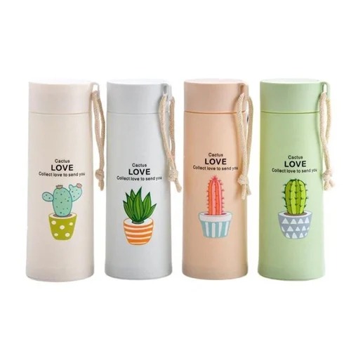 Glass Water Bottle 450ml with Cactus Design