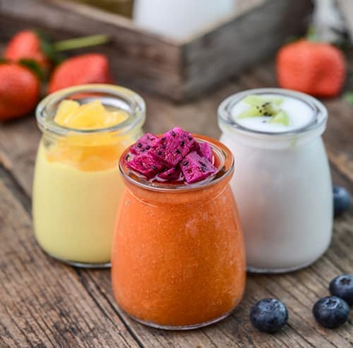 PUDDING JAR 100ML 6 PCS SET BOX PACK 23129 | GTY-2512
