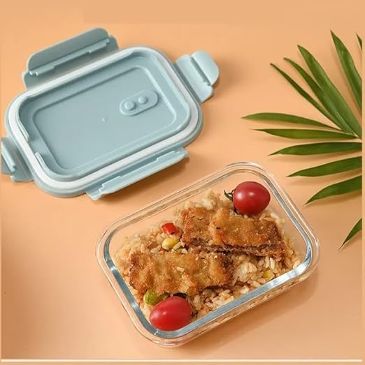 LUNCH BOX 1 PARTITION 600ML 22286