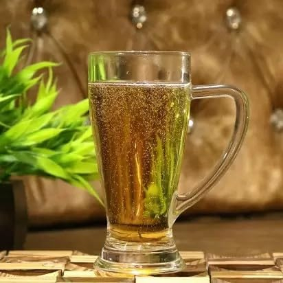 BEER MUG HANDLE 270ML 6PCS 20925 | Y5819-3