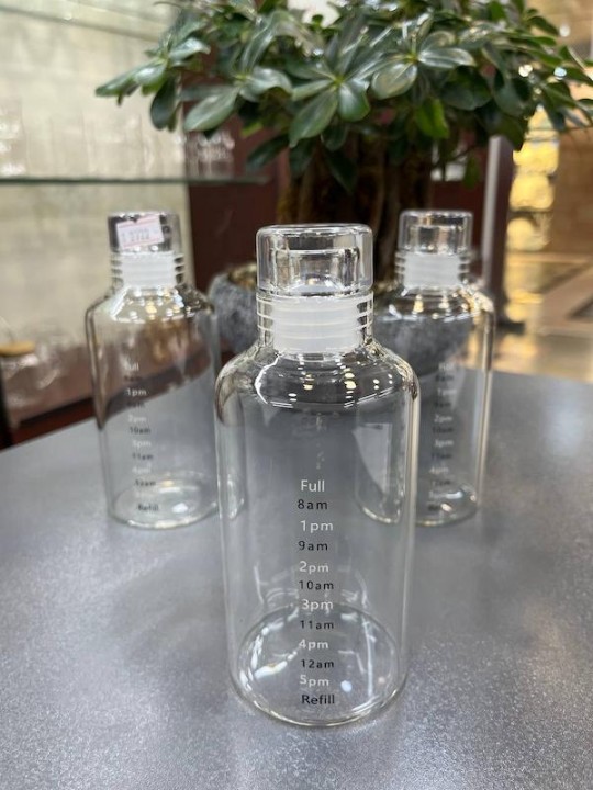 BOROSILICATE WATER BOTTLE 350ML  22872 | GOOD MOMENTS-350