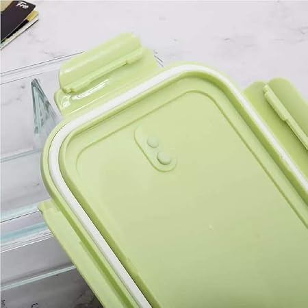 LUNCH BOX 2 PARTITION 1400ML  22517 | BXT1001-2GD
