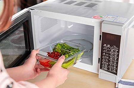 LUNCH BOX 2 PARTITION 1400ML  22517 | BXT1001-2GD
